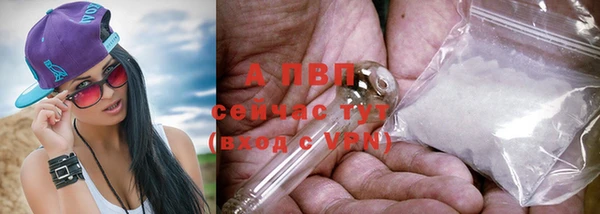 гашик Сосновый Бор