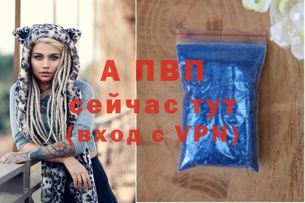 гашик Сосновый Бор