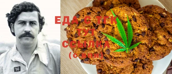 гашик Сосновый Бор