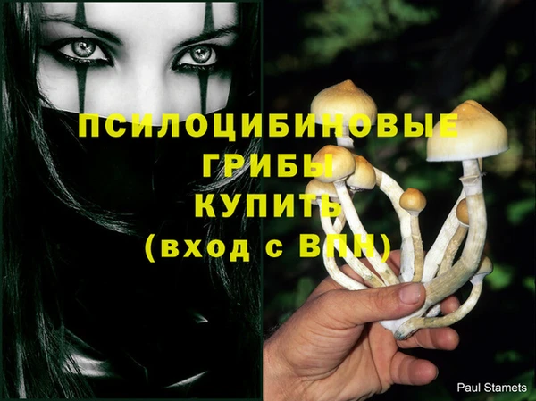 MDMA Сосновоборск