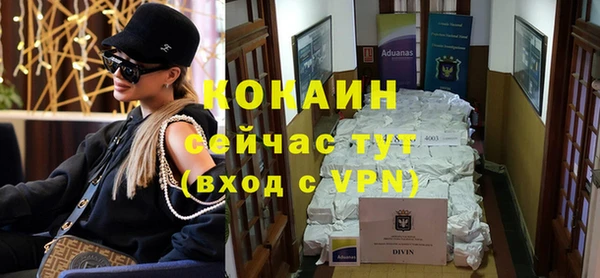гашик Сосновый Бор