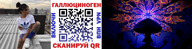 Купить  Кирсанов  Галлюциногенные грибы Psilocybine cubensis 
